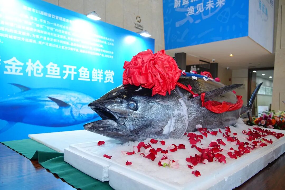 正文4.jpg